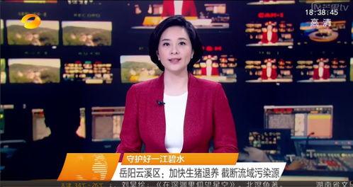 最新爆料湖南新闻联播直播,揭秘重大事件背后真相